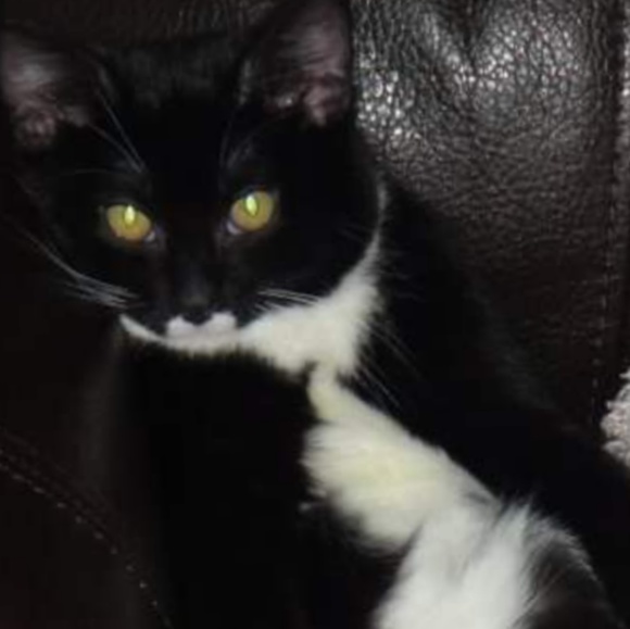 Meet your Posher, Marissa - Picture 1 of 1